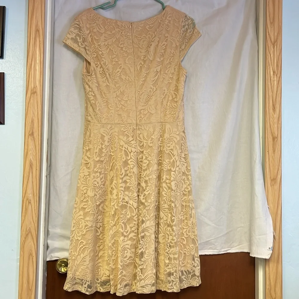 Berry Love Lace Dress - Picture 6 of 8